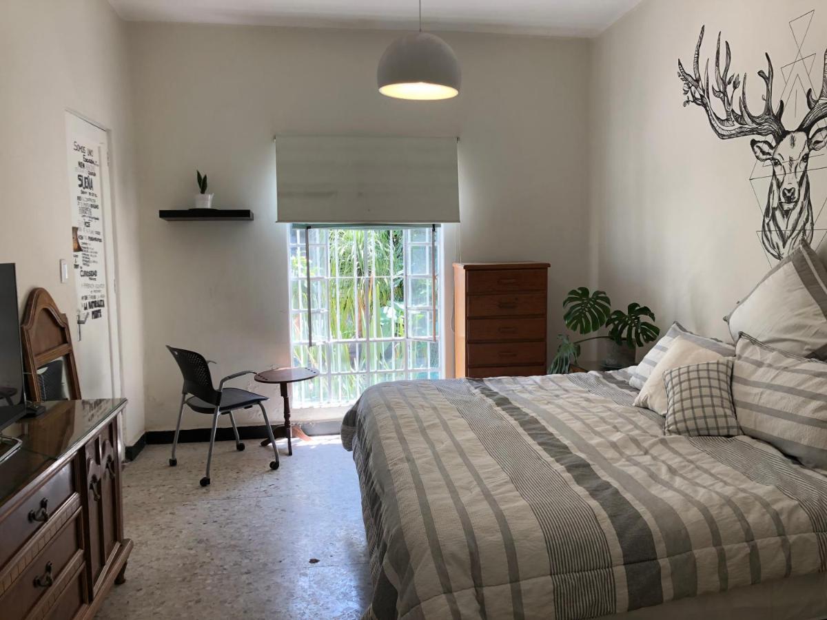 Casa Amores Apartment Mexico City Ngoại thất bức ảnh