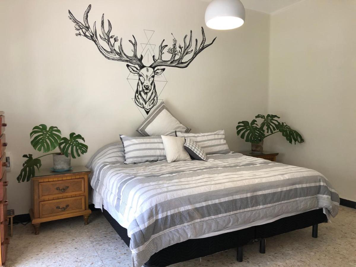 Casa Amores Apartment Mexico City Ngoại thất bức ảnh